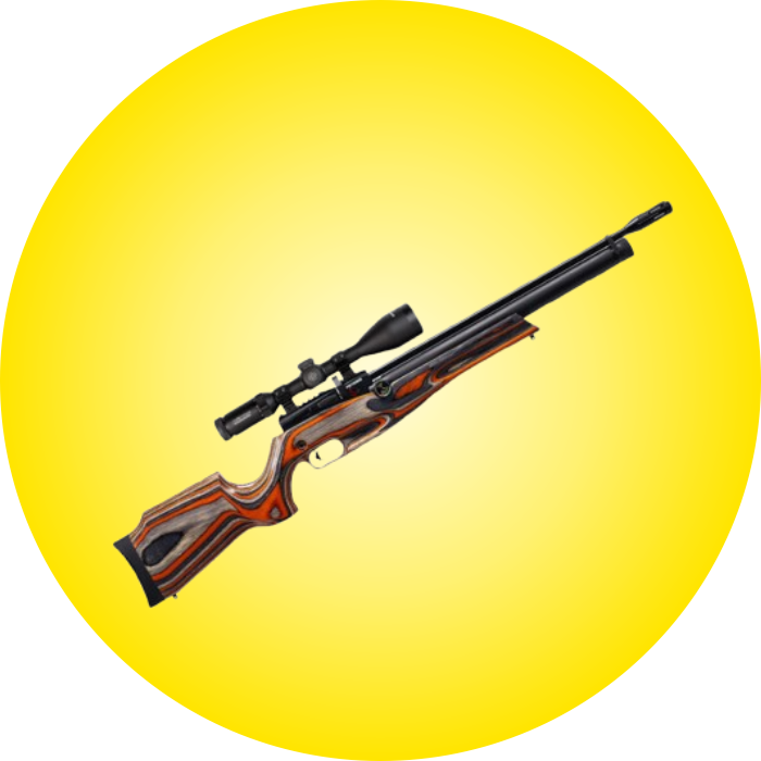 Air Guns
