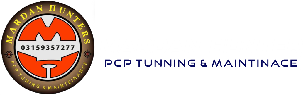 logo-footer